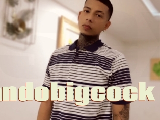 Fernandobigcock