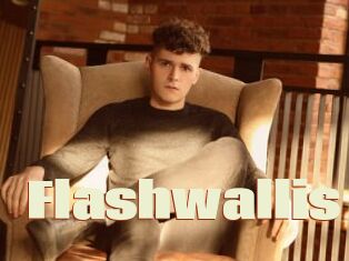 Flashwallis