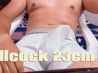 Fullcock_23cm