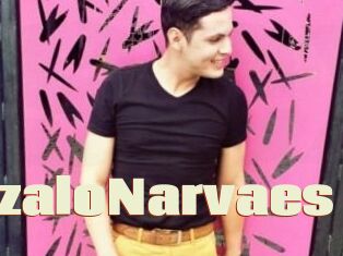 GonzaloNarvaes