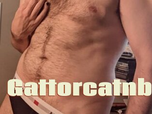 Gattorcatnb