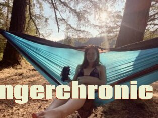 Gingerchronic