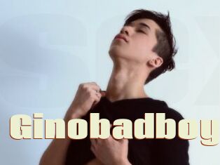 Ginobadboy