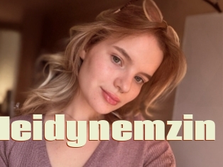 Heidynemzin