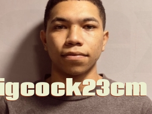 Hotboybigcock23cm