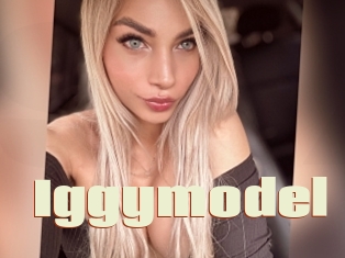 Iggymodel