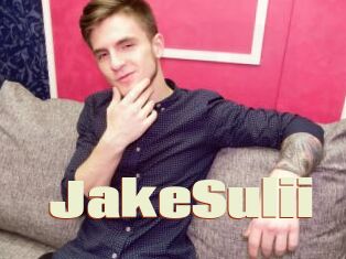 JakeSulii