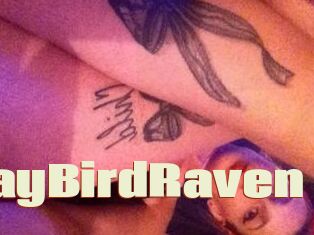JayBirdRaven
