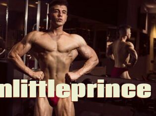 Johnlittleprince