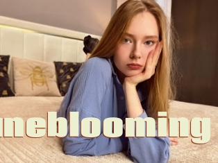 Juneblooming