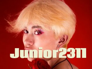 Junior2311