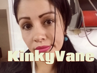 KinkyVane