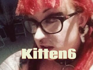 Kitten6