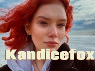 Kandicefox