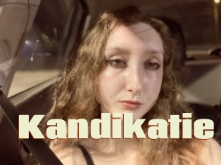 Kandikatie