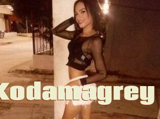 Kodamagrey