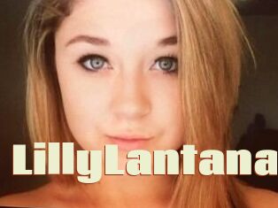 LillyLantana