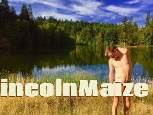 Lincoln_Maize