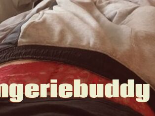 Lingeriebuddy