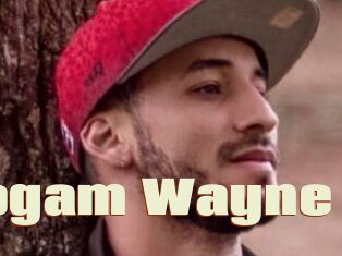 Logam_Wayne