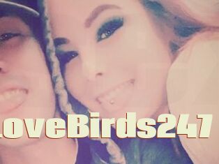LoveBirds247