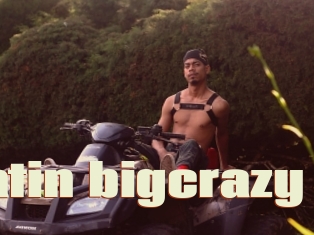 Latin_bigcrazy