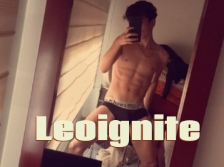 Leoignite