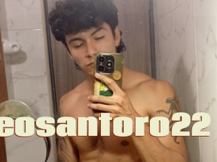 Leosantoro22