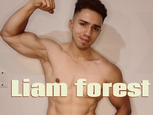 Liam_forest