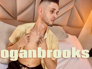 Loganbrooks