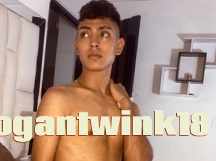 Logantwink18