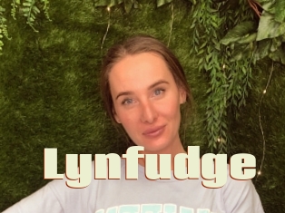 Lynfudge