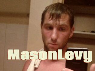 Mason_Levy