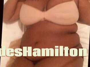 MercedesHamilton