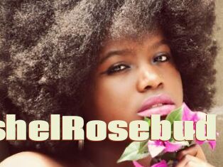 MishelRosebud