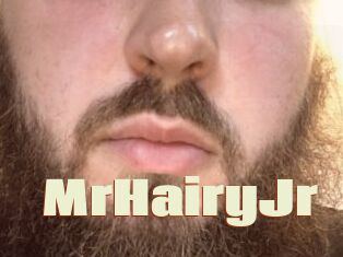MrHairyJr