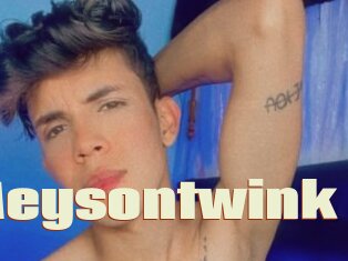 Meysontwink