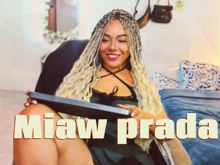 Miaw_prada