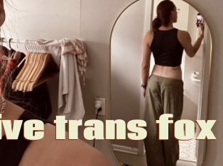 Native_trans_fox