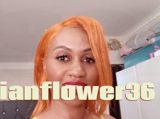 Nubianflower36