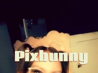 Pixbunny