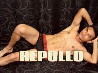 REPOLLO