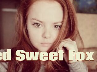 Red_Sweet_Fox