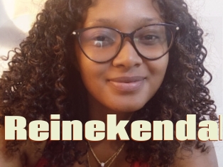Reinekendal
