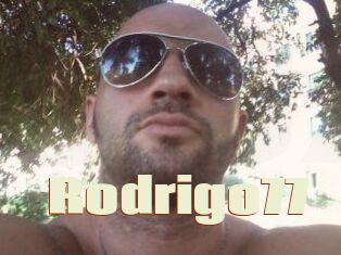 Rodrigo77