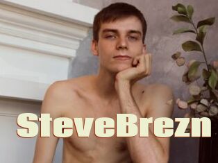 SteveBrezn