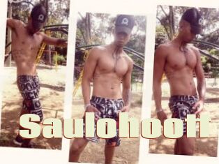Saulohoott