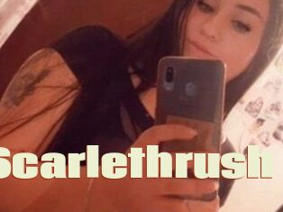 Scarlethrush