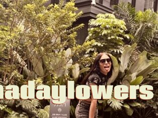 Shadaylowers