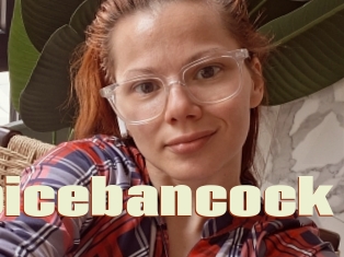 Spicebancock